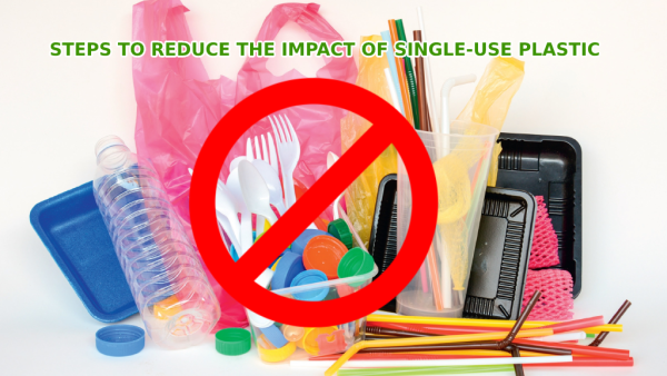 Steps To Reduce The Impact Of Single-use Plastic – Amnotplastic.com