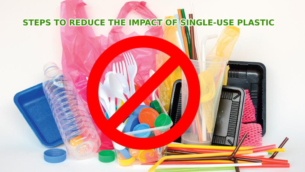 impact of plastic on environment project work methodology