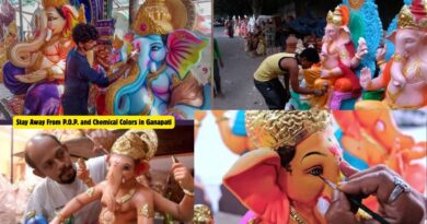 seed ganapati